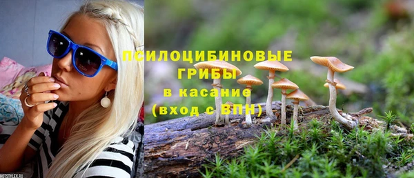 а пвп мука Ельня