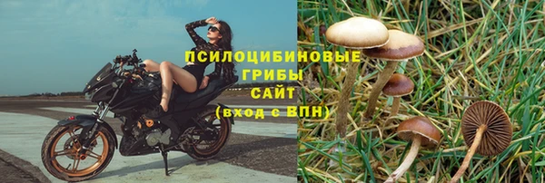 а пвп мука Ельня
