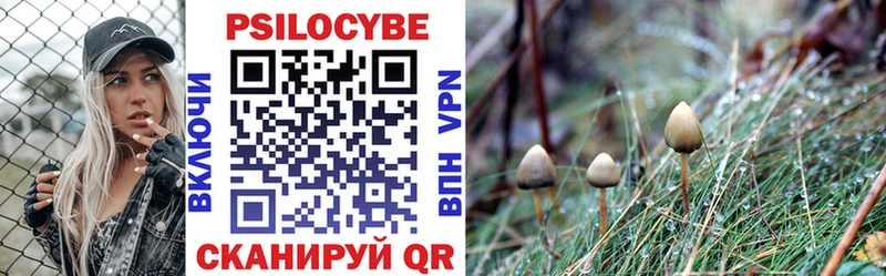 Псилоцибиновые грибы Cubensis  Избербаш 